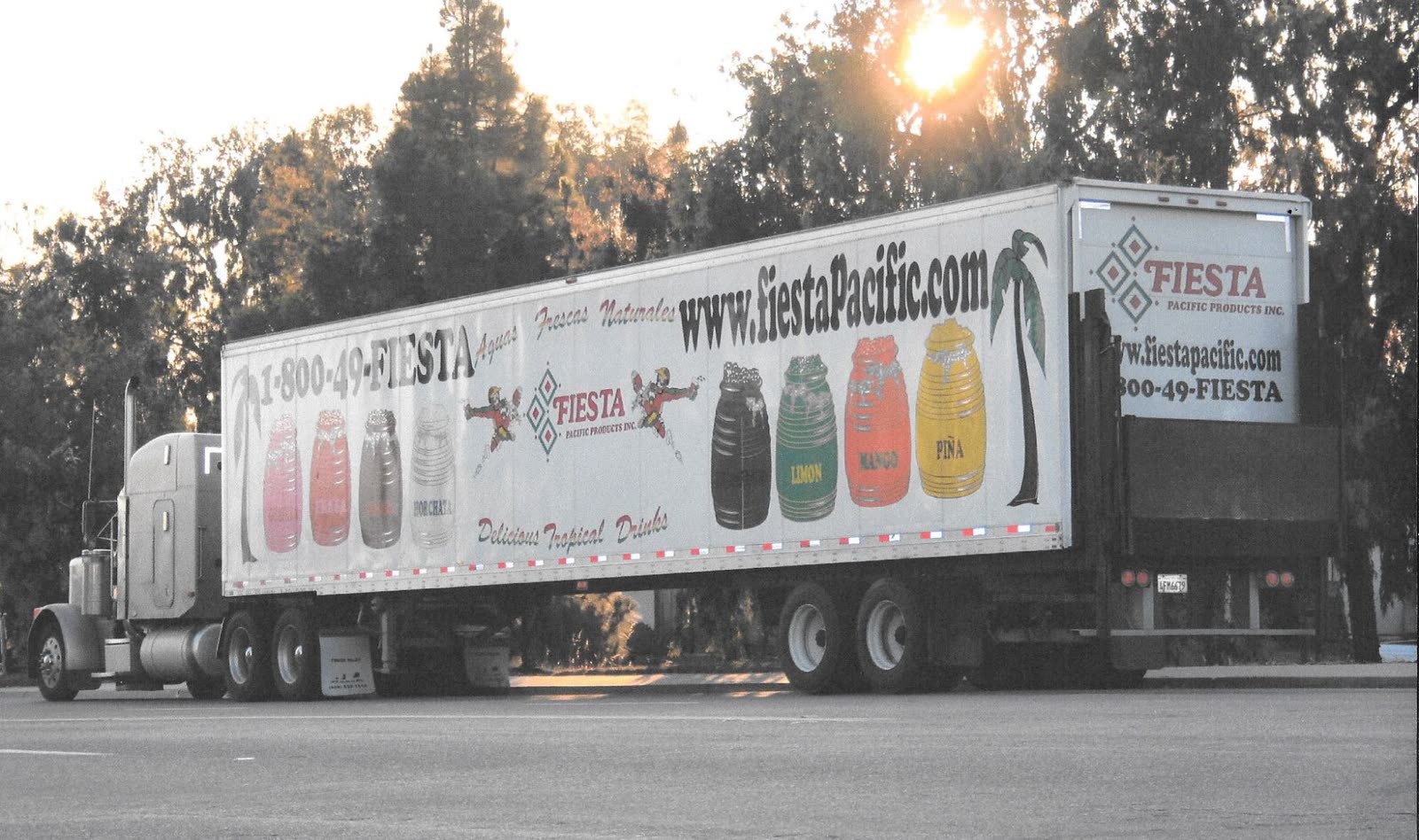 Semi truck trailer with full-length Fiesta graphics, 1-800-49-FIESTA and fiestapacific.com